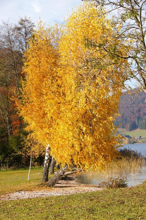 Apartmán Haus Lisa Fuschl am See Exteriér fotografie